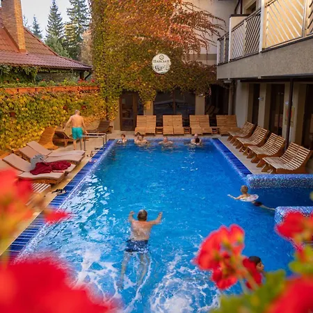 Hotel Romantik Yaremche