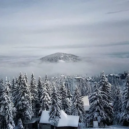 Romantik 4* Yaremche