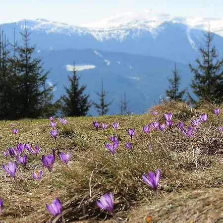 מלון Romantik 4*